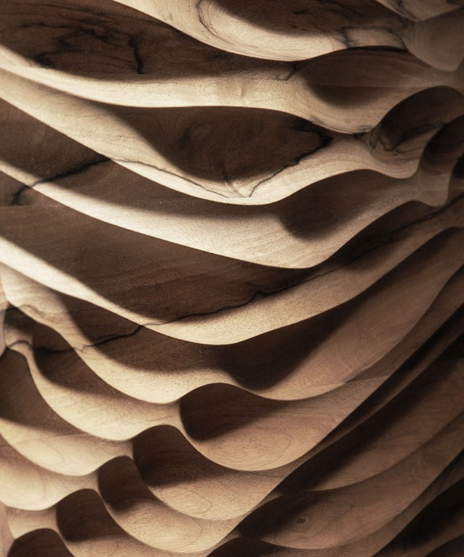 Wood Texture